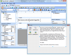 ReportBuilder Standard